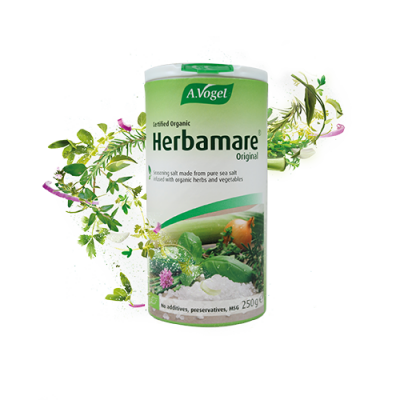 A. Vogel Herbamare Original Sea Salt 500g