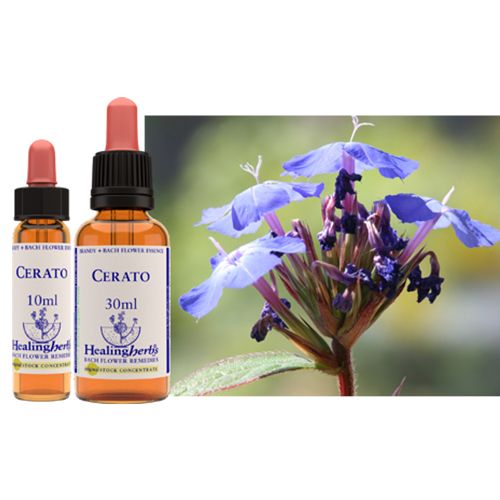 Healing Herbs Bach Flower Essence (Cherry Plum) 10ml