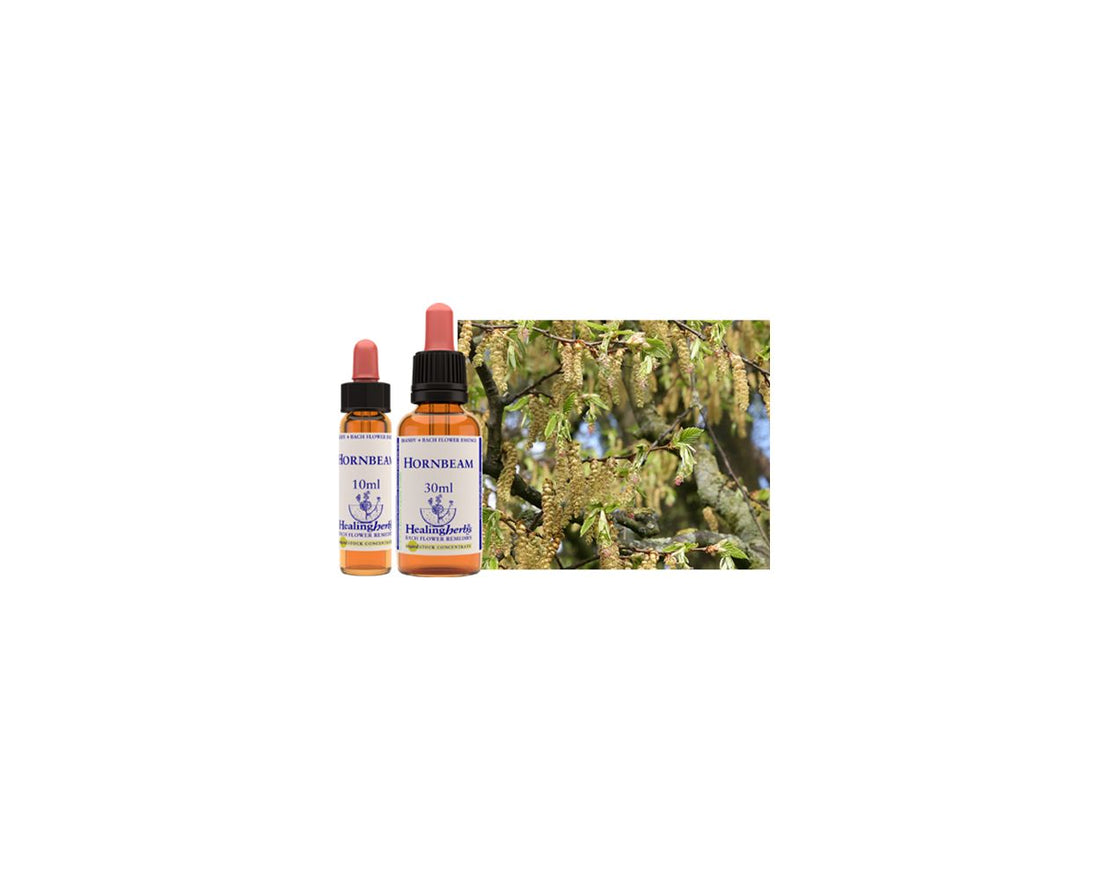 Healing Herbs Bach Hornbeam 10ml