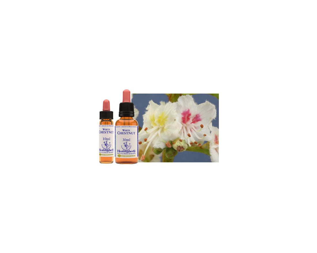 Healing Herbs Original Bach Flower Remedy White Chestnut 10ml