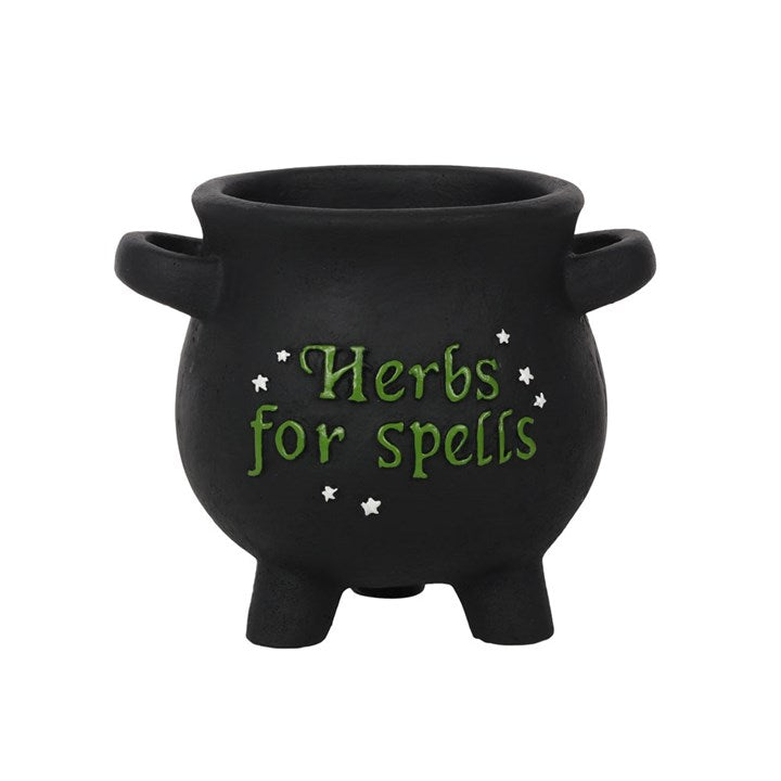 Small Herbs for Spells Cauldron Plant Pot