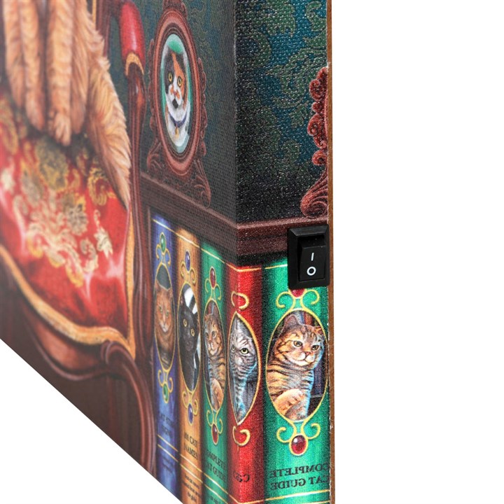 Canvas Plaque by Lisa Parker - Mad About Cats - Light Up