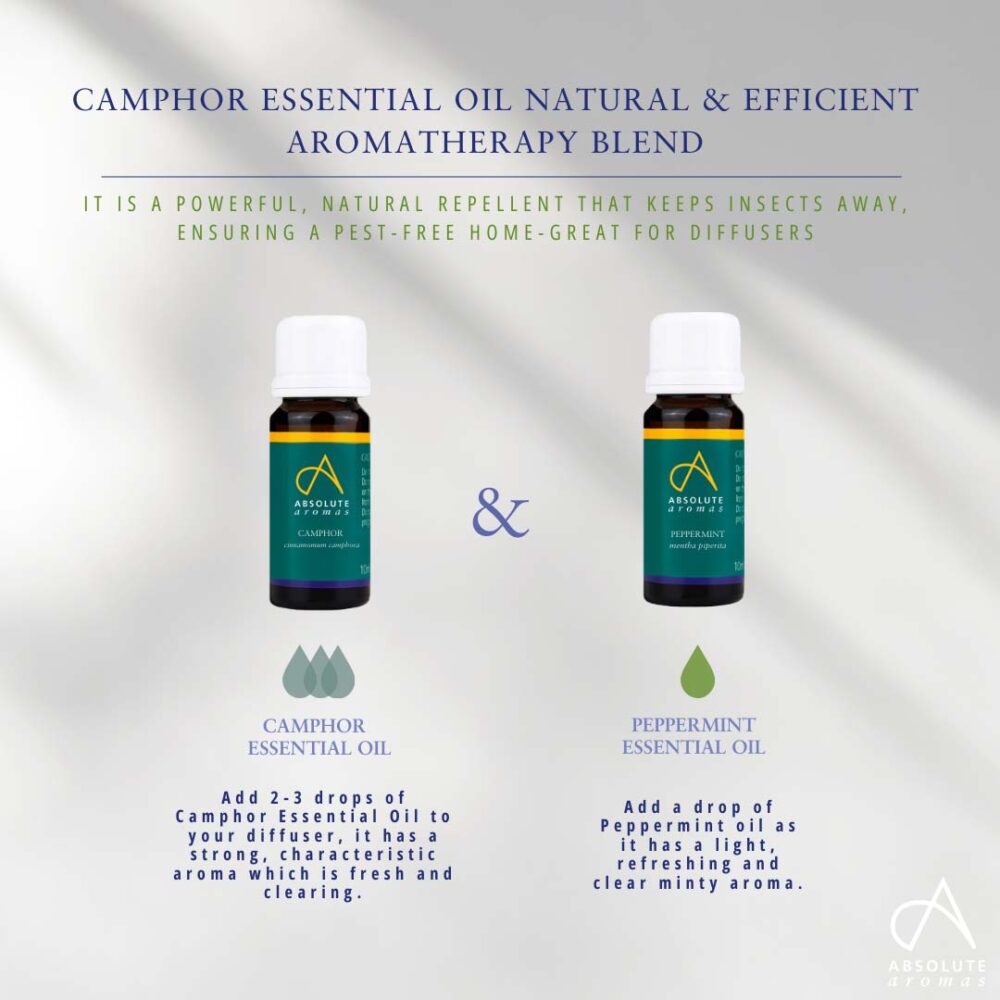 Absolute Aromas Camphor Oil 10ml