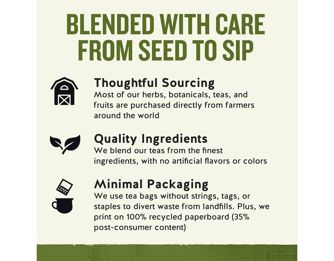 Celestial Seasonings - Sleepytime Herbal Tea (20 T/Bags)