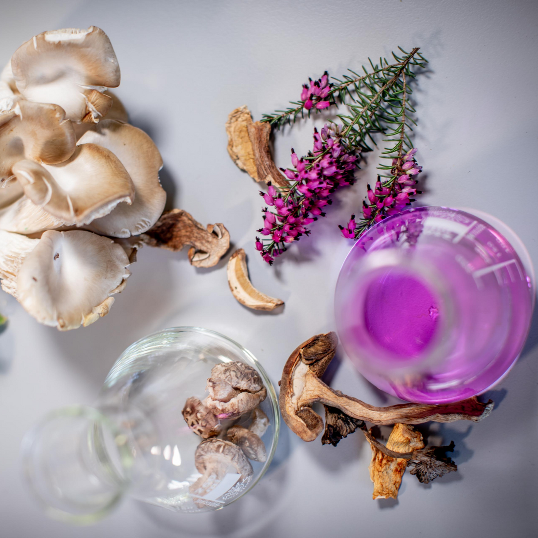 FabU R&R Relax (60 Caps)