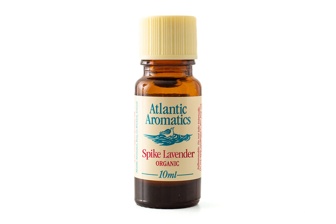 Atlantic Aromatics Organic Spike Lavender Oil 10ml