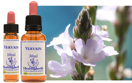 Healing Herbs Bach Flower Essence (Vervain) 10ml