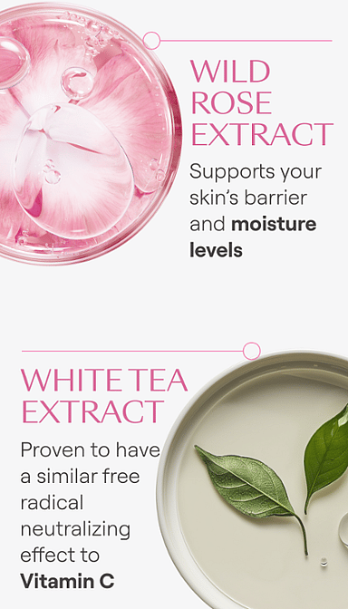 Weleda Smoothing Night Cream (Wild Rose & White Tea) 40ml