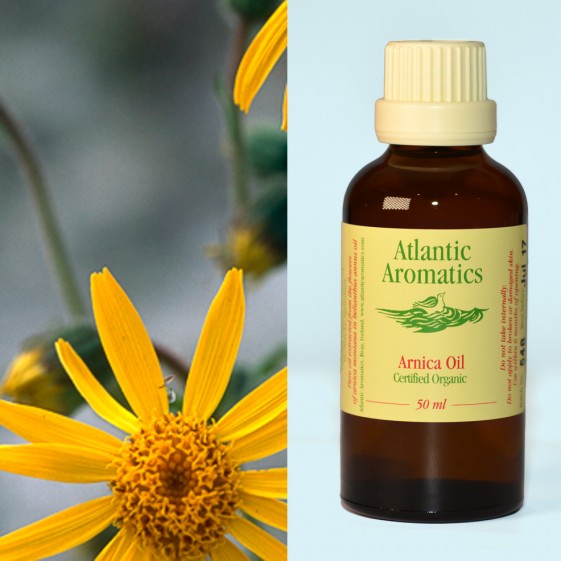 Atlantic Aromatics Arnica Oil Extract