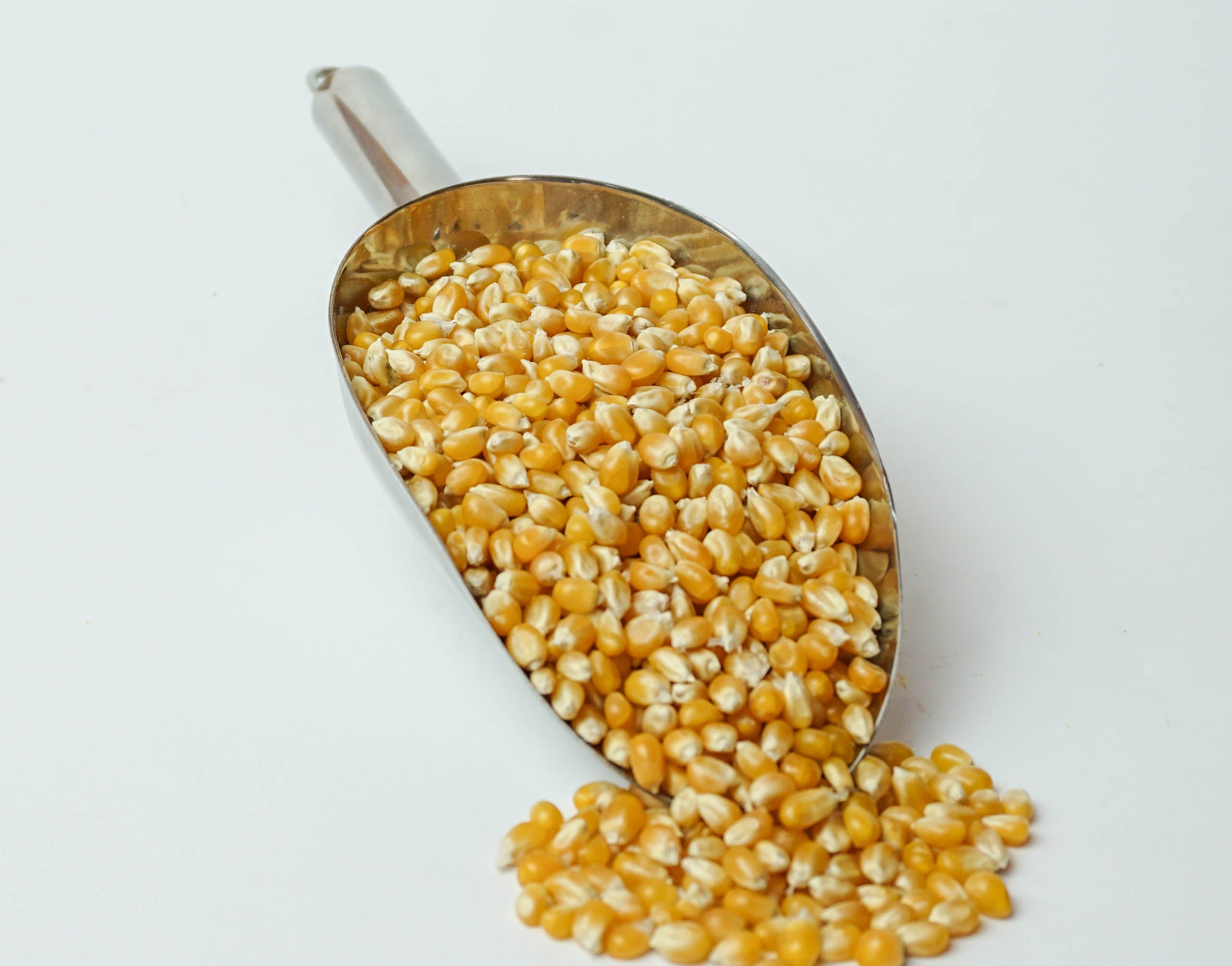 True Organic Popcorn 500g