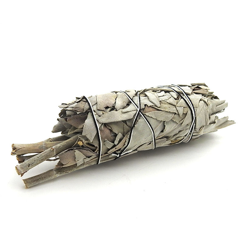 White Sage Smudge Sticks (5in)