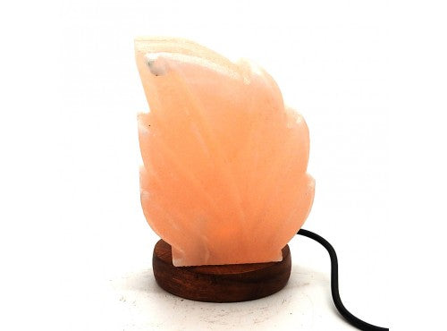 Salt Leaf USB Lamp With Mains Plug Included