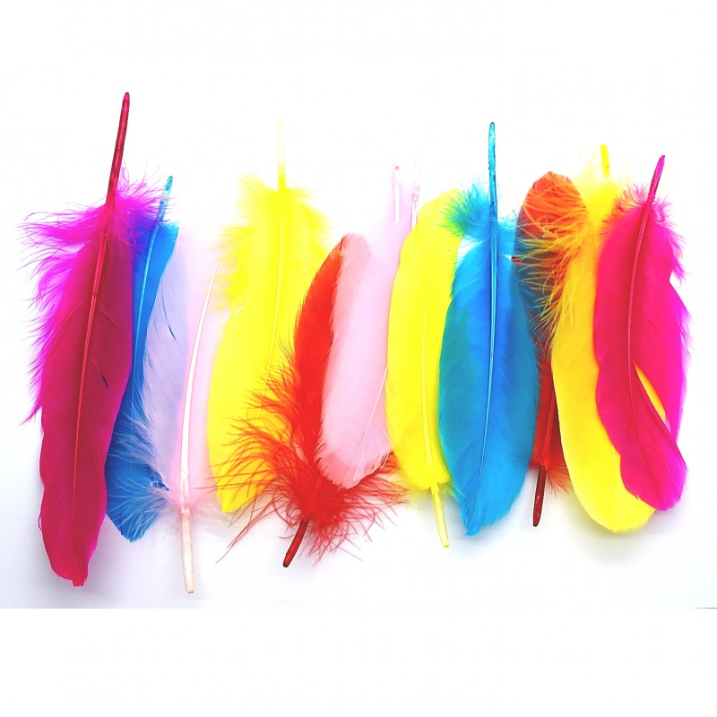 Smudging Feather 6"-8" Multi-Pack (12&