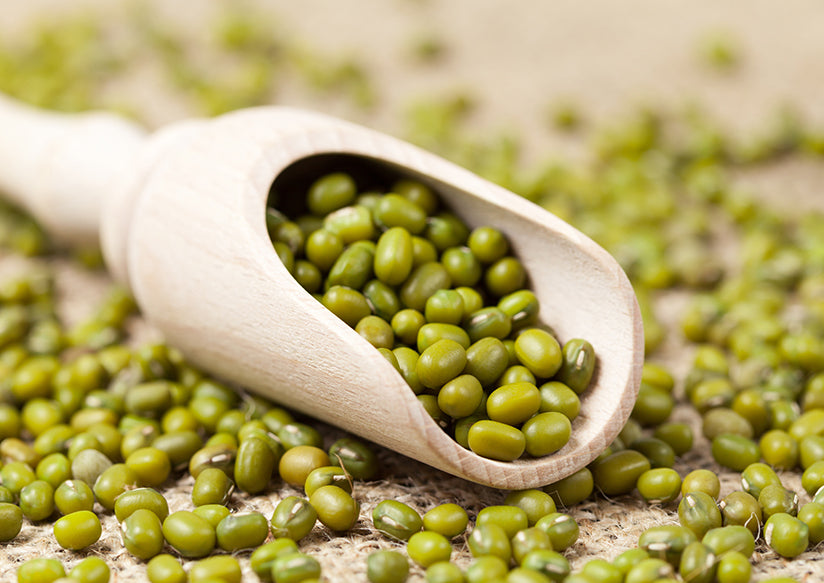 Rainbow Organic Mung Beans 500g