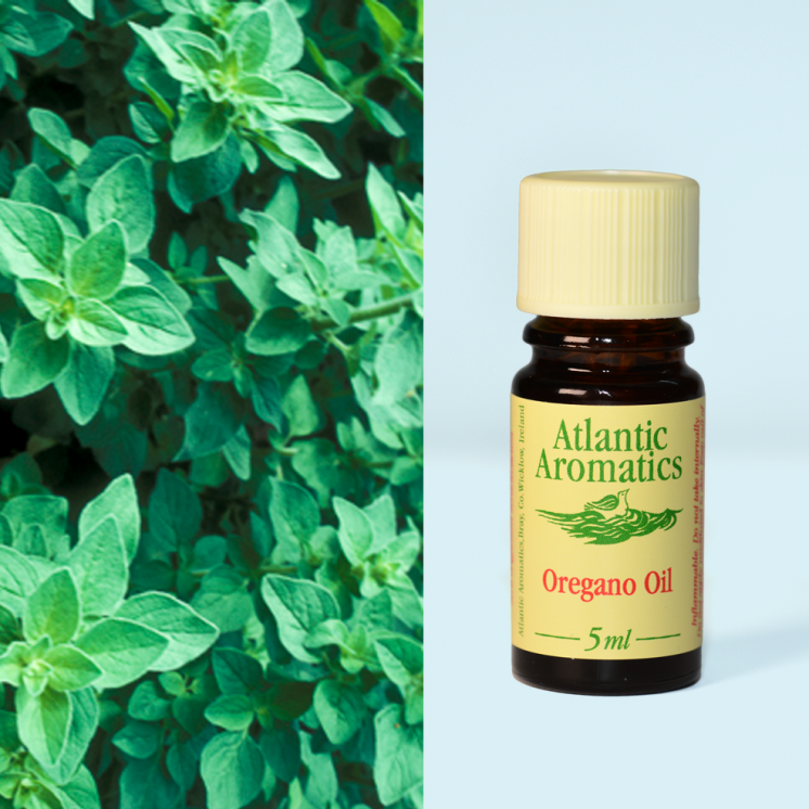 Atlantic Aromatics Oregano Oil Organic