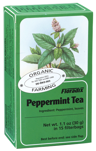 Floradix Organic Peppermint Tea (15 T/Bags)