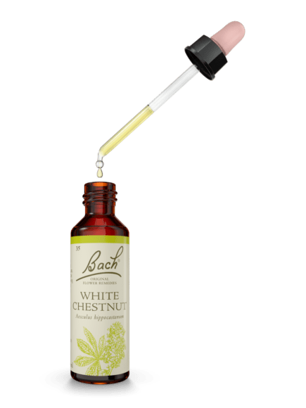 Nelsons Bach Flower Essence (White Chestnut) 10ml