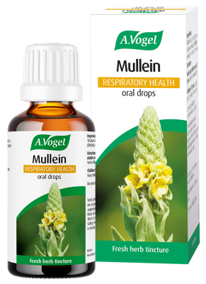 A. Vogel Mullein Oral Drops (50ml)