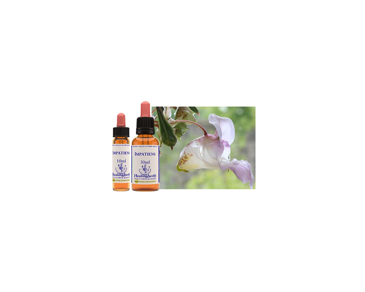 Healing Herbs Bach Flower Essence (Impatiens) 10ml