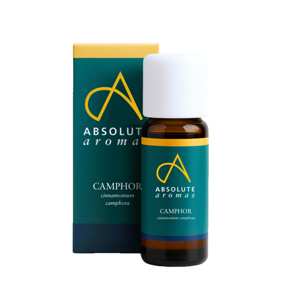 Absolute Aromas Camphor Oil 10ml