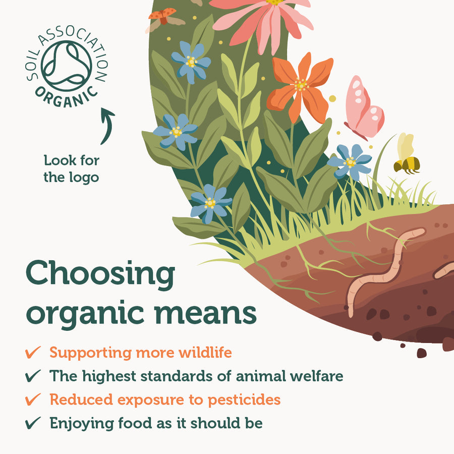 Sweet Cures Wild Oregano Oil C80 10ml