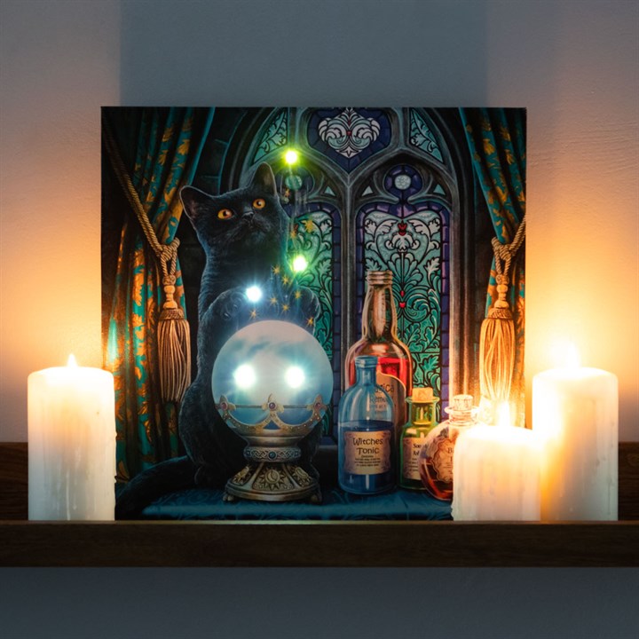 Canvas Plaque by Lisa Parker - The Witches Apprentice - Light Up