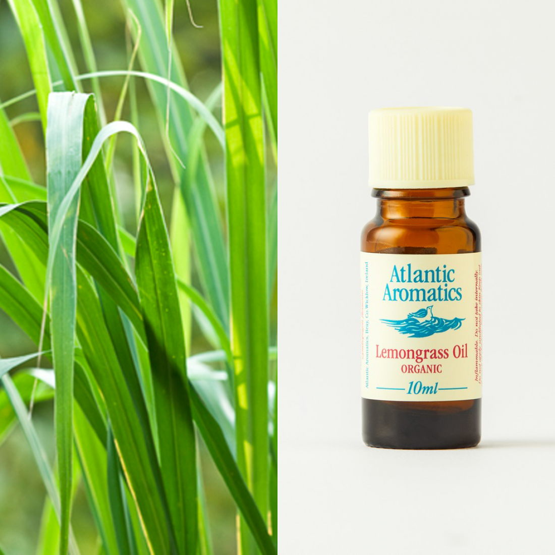 Atlantic Aromatics Lemongrass Oil Organic 20ml