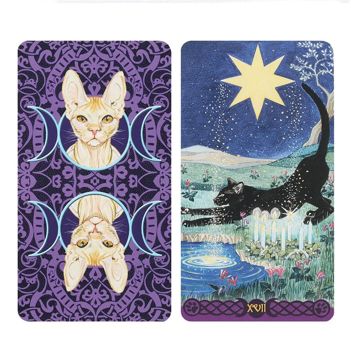 Tarot Cards - Pagan Cats Tarot Cards