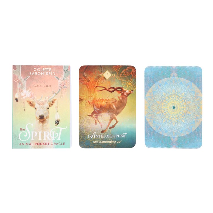 Oracle Cards - The Spirit Animal (Pocket)