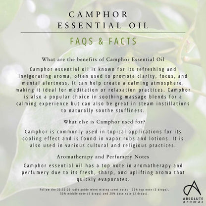 Absolute Aromas Camphor Oil 10ml