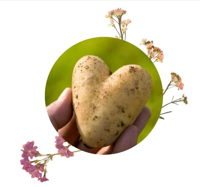 Ben &amp; Anna Deo Creme - Love Me Poly/Potato Packs ECO 45g