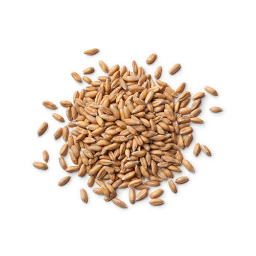 Vita Plantae Organic Spelt Grain 500g