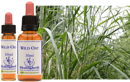 Healing Herbs Original Bach Flower Remedy Wild Oat 10ml