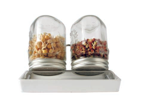 Mumms 2 Glass Jars and Ceramic Tray - Sprouting System
