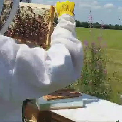 Honey Harvest - Rathangan Raw Honey 225g