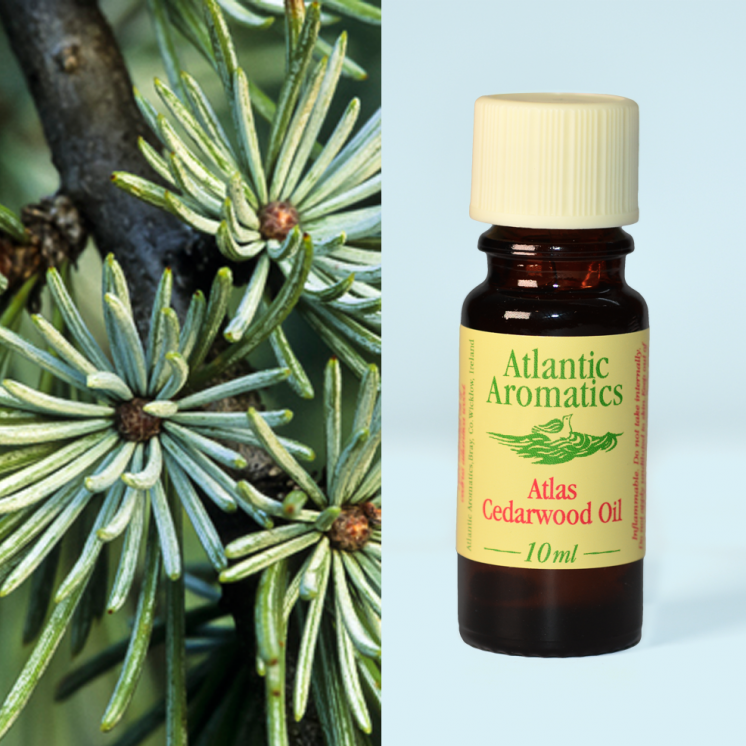 Atlantic Aromatics Organic Cedarwood Oil