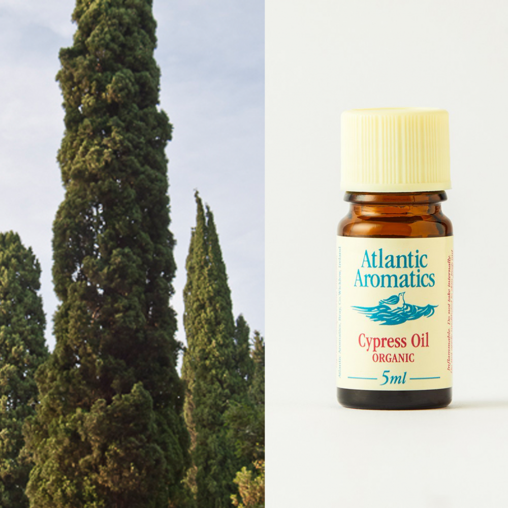 Atlantic Aromatics Cypress Oil 5ml