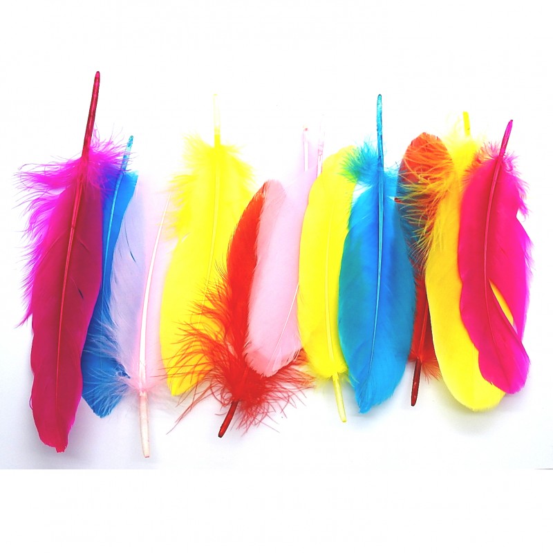Smudging Feather 6&quot;-8&quot; Multi-Pack (12&