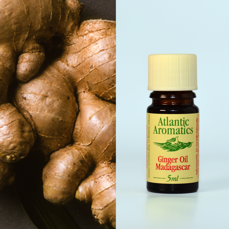 Atlantic Aromatics Organic Ginger Oil - Madagascar