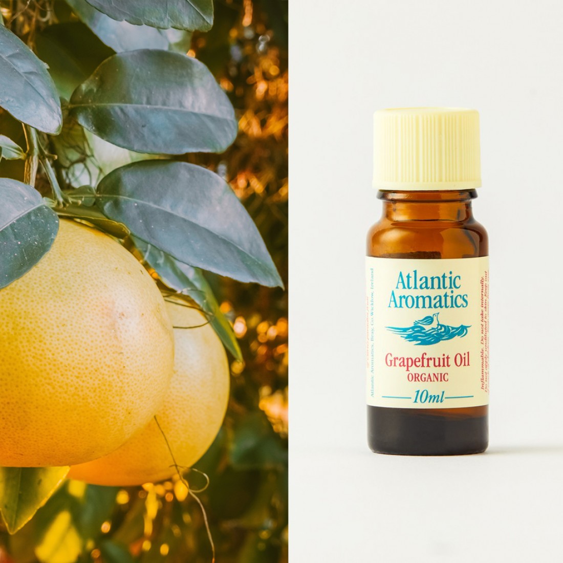 Atlantic Aromatics Grapefruit Oil Organic 10ml