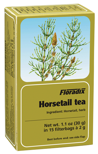 Floradix Horsetail Tea (15 T/Bags)