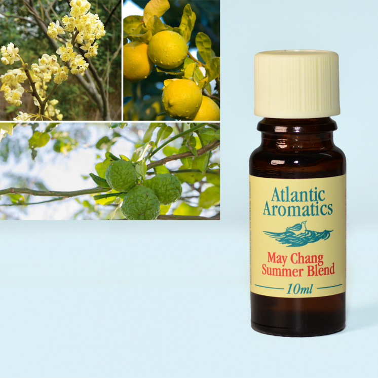 Atlantic Aromatics May Chang Summer Blend