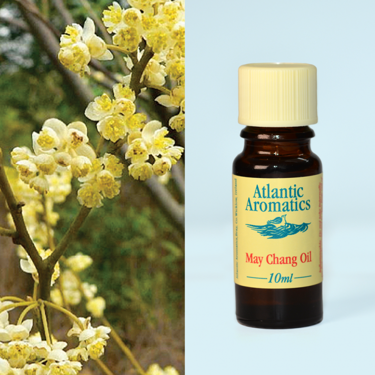 Atlantic Aromatics May Chang