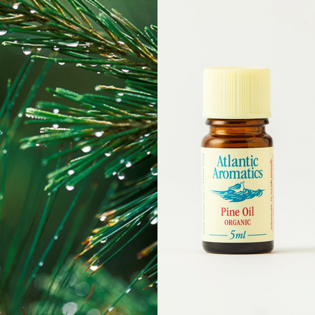 Atlantic Aromatics Pine Oil Organic 5ml