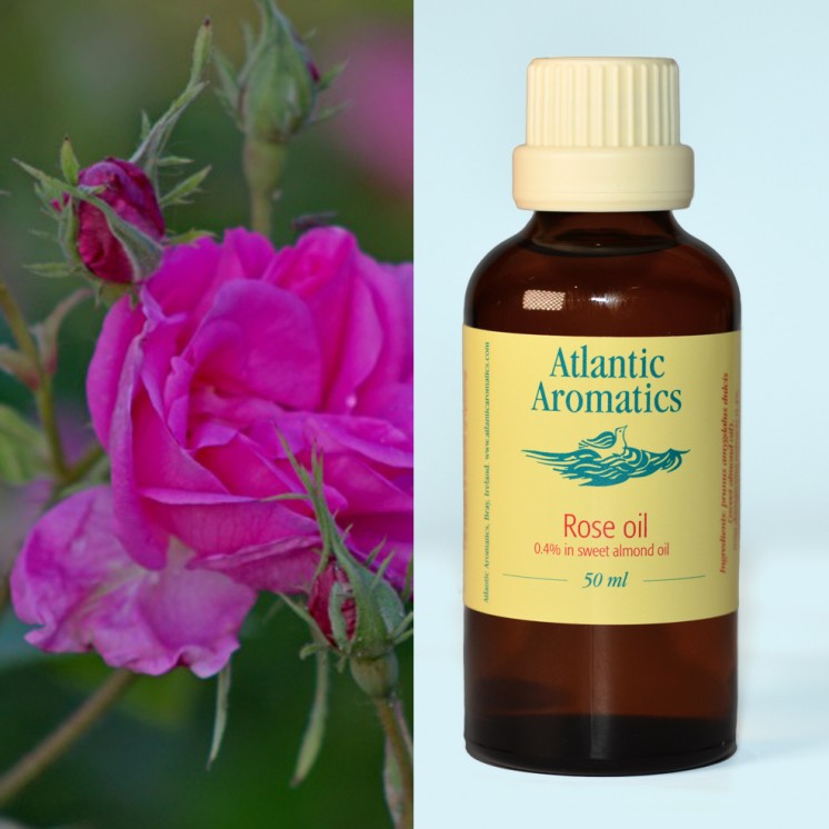 Atlantic Aromatics Rose Oil (4% in Sweet Almond)