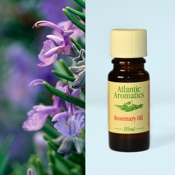 Atlantic Aromatics Rosemary Organic Oil