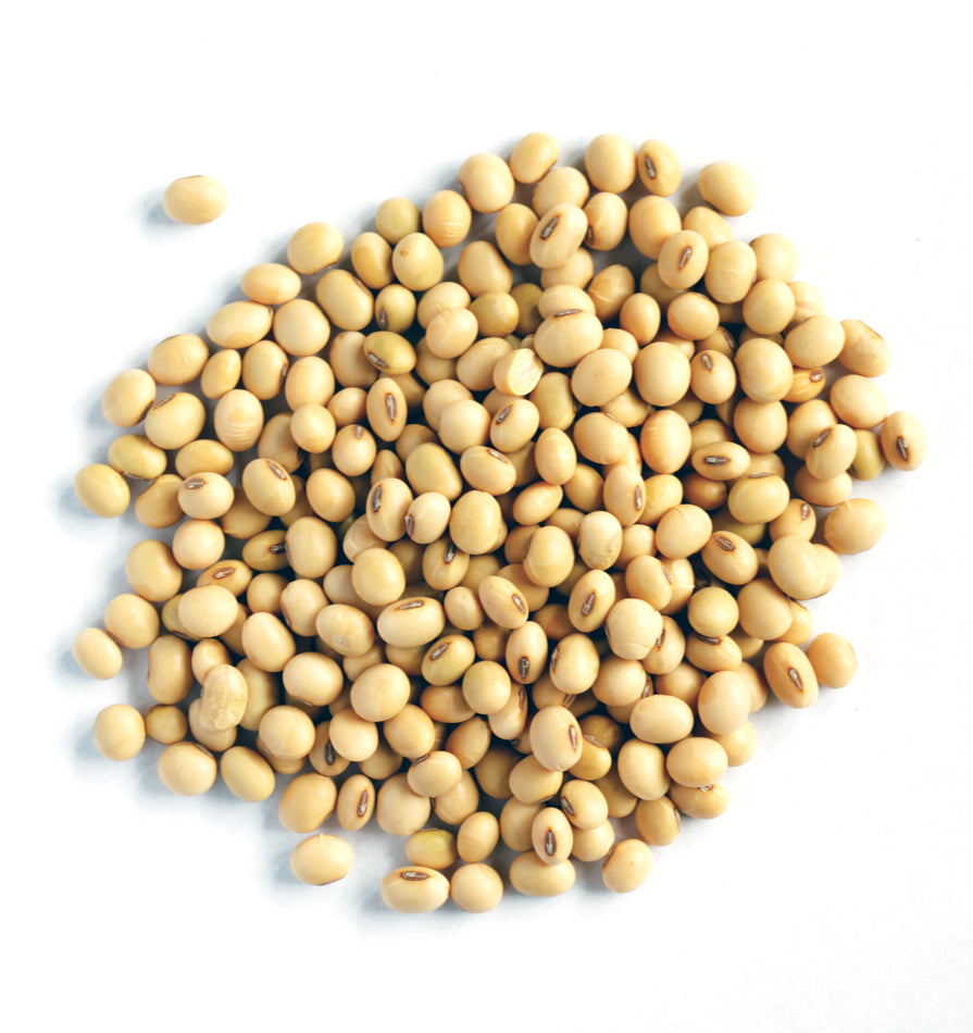 True Organic Soya Beans 500g
