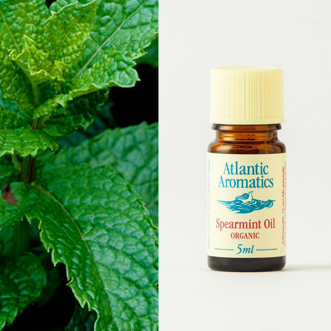 Atlantic Aromatics Organic Spearmint Oil 5ml