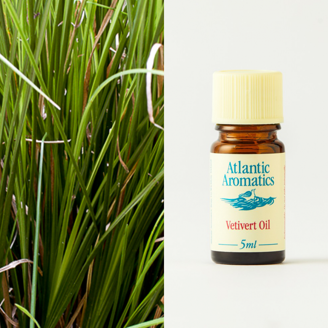 Atlantic Aromatics Vetivert Oil 5ml