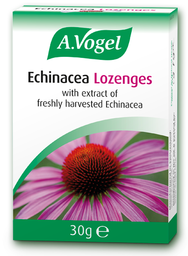 A. Vogel Echinacea Lozenges